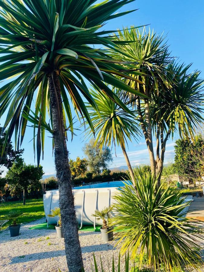 Crespos Quinta De Areias Bed & Breakfast エクステリア 写真