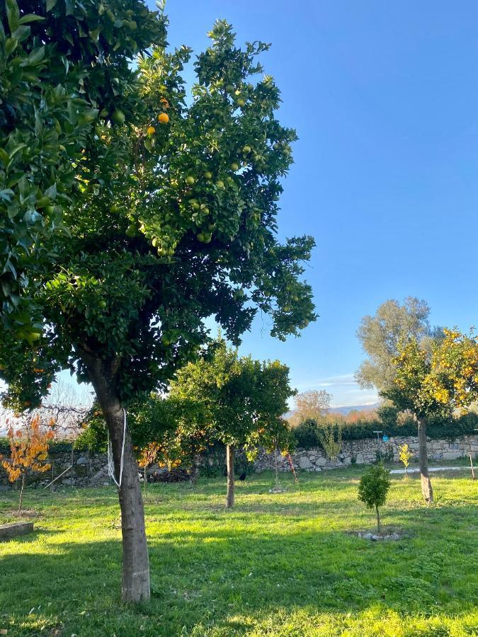 Crespos Quinta De Areias Bed & Breakfast エクステリア 写真