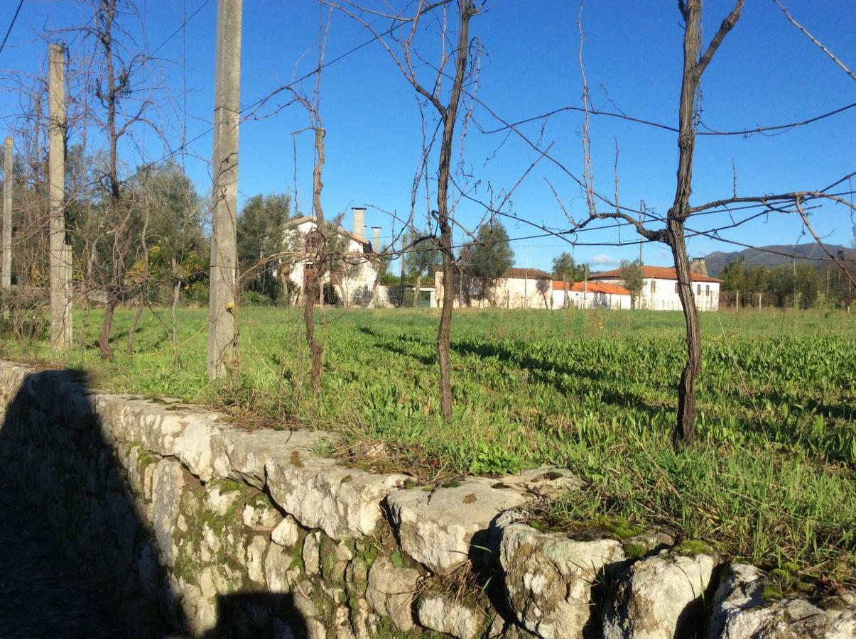 Crespos Quinta De Areias Bed & Breakfast エクステリア 写真