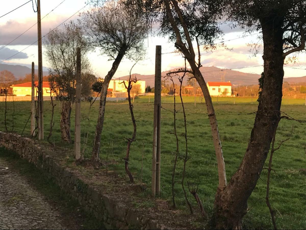 Crespos Quinta De Areias Bed & Breakfast エクステリア 写真